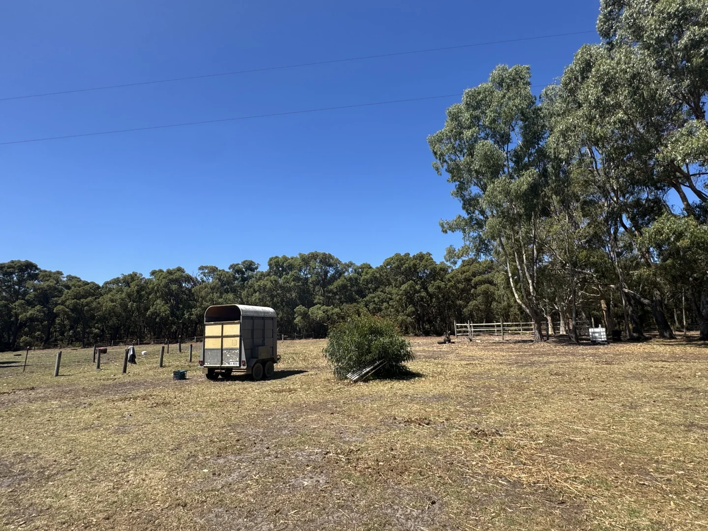 Additional image 9 of 528 Narrikup Road, Narrikup WA 6326