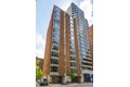 227 E Walton St, Chicago, IL, 60611
