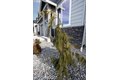 Additional image 3 of 11113 NE 131st Ave, Vancouver, WA, 98682