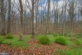 Additional image 21 of 13008 Dulaney Valley Rd, Glen Arm, MD, 21057