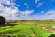 Hawthorn Rise, Swannington photo 2
