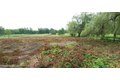 371 Churchland Rd, Saugerties, NY, 12477