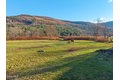 Additional image 48 of 12295 State Highway 23, Ashland, NY, 12407