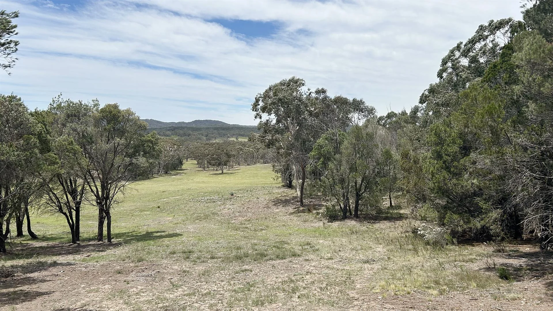 Additional image 6 of 132 Perry Lane, Boxers Creek NSW 2580