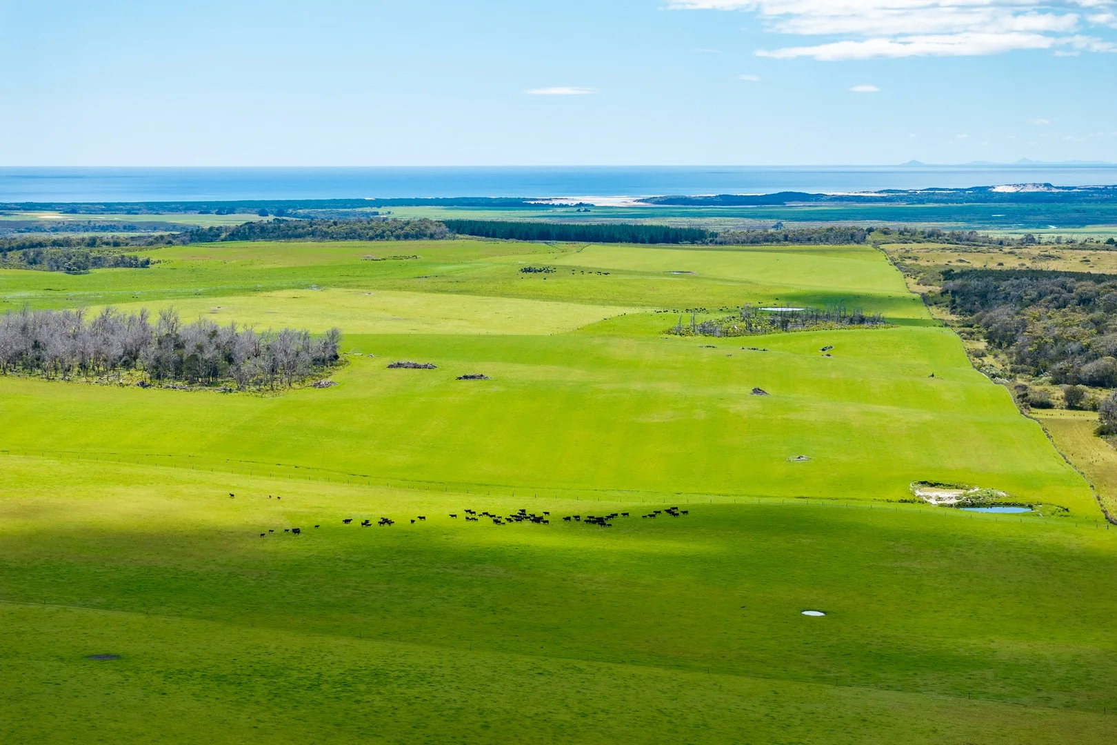 . Waterhouse Road, Boobyalla TAS 7264