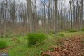 Additional image 19 of 13008 Dulaney Valley Rd, Glen Arm, MD, 21057