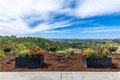 Additional image 52 of 5530 El Pharo Dr, Paso Robles, CA, 93446