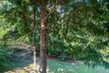 Additional image 37 of 1604 Tara Ct, Kelso, WA, 98626