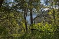 Additional image 14 of 15805 Uvas Rd, Morgan Hill, CA, 95037