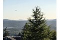 Additional image 33 of 4907 NW Highpoint Dr, Camas, WA, 98607