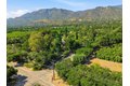 Additional image 28 of 757 McNell Rd, Ojai, CA, 93023