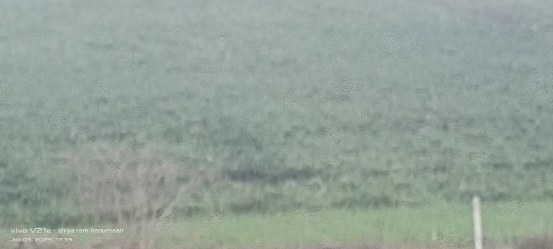 Additional image 3 of Etmadpur, Agra