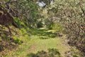 Additional image 27 of 15805 Uvas Rd, Morgan Hill, CA, 95037