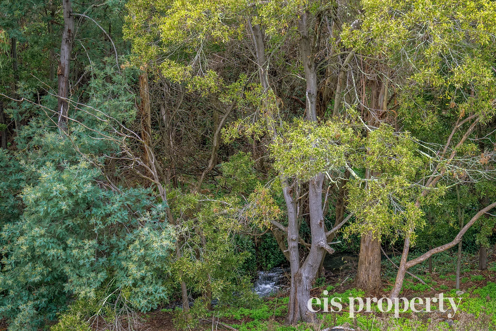 Additional image 25 of 9/8A Romilly Street, South Hobart TAS 7004