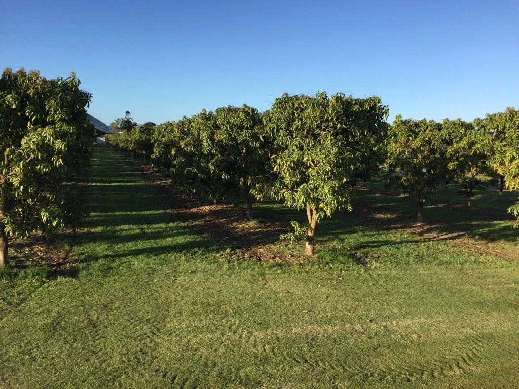 Bowen QLD 4805 photo 5