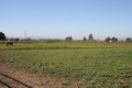 Additional image 3 of 1738H Santa Ana Rd Unit H, Hollister, CA, 95023