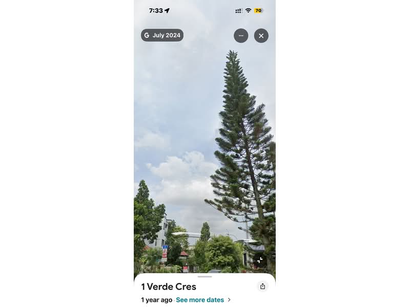 Verde Grove
