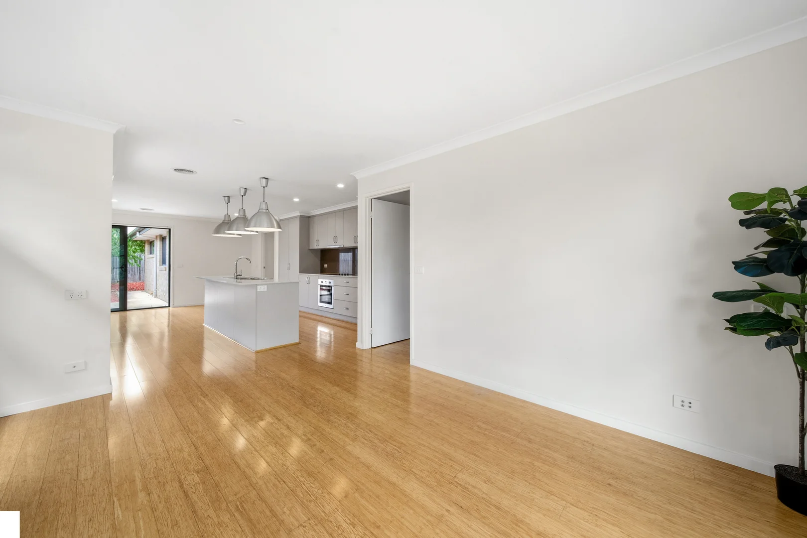 15 Leslie Dwyer Street, Forde ACT 2914 photo 4