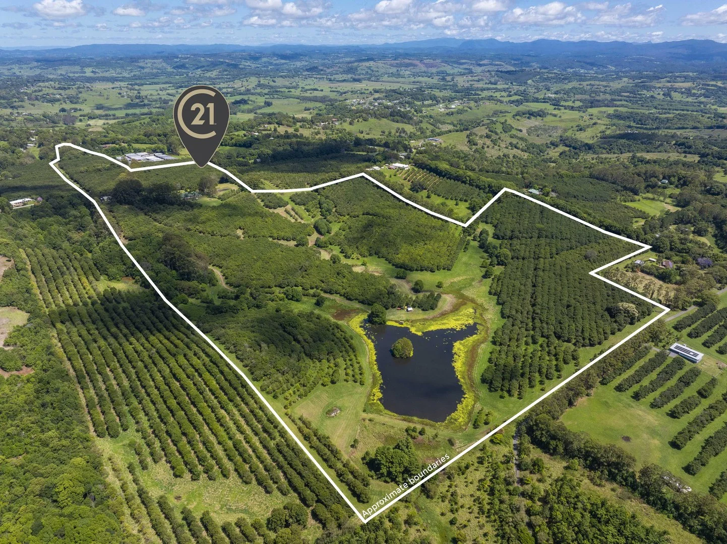 Additional image 6 of 308 Cowlong Road, McLeans Ridges NSW 2480
