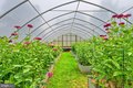 Additional image 61 of 15407 Doctor Bowen Rd, Brandywine, MD, 20613