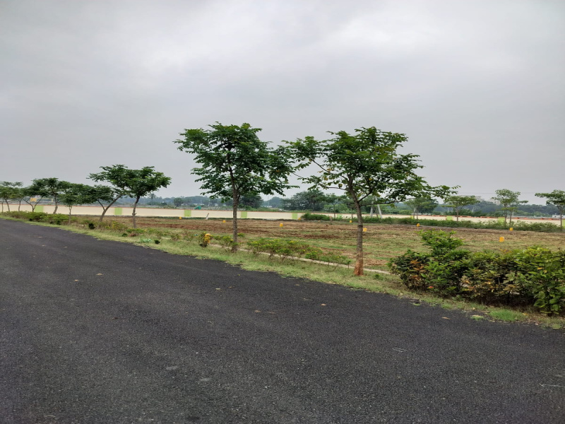 Bhogapuram, Visakhapatnam photo 2