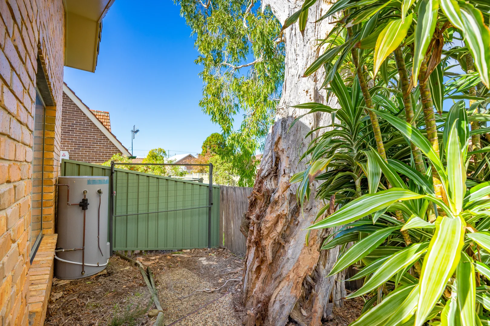 Additional image 9 of 10A Carrington Parade, New Lambton NSW 2305