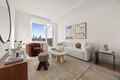 Additional image 3 of 644 E 14th St Unit 1501, Manhattan, NY, 10009