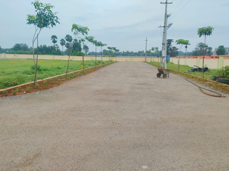 Bhogapuram, Visakhapatnam