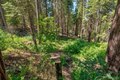 Additional image 32 of 47824 Brammer Purl Rd, Oakhurst, CA, 93644
