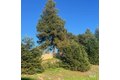 Additional image 22 of 2005 Bracken Ct, Santa Rosa, CA, 95403