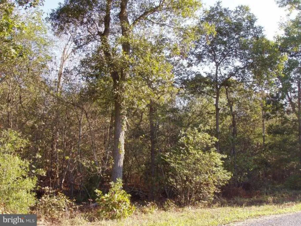 Hignutt Road, Denton, MD 21629