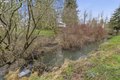 Additional image 29 of 1010 SE 3rd Ave, Battle Ground, WA, 98604