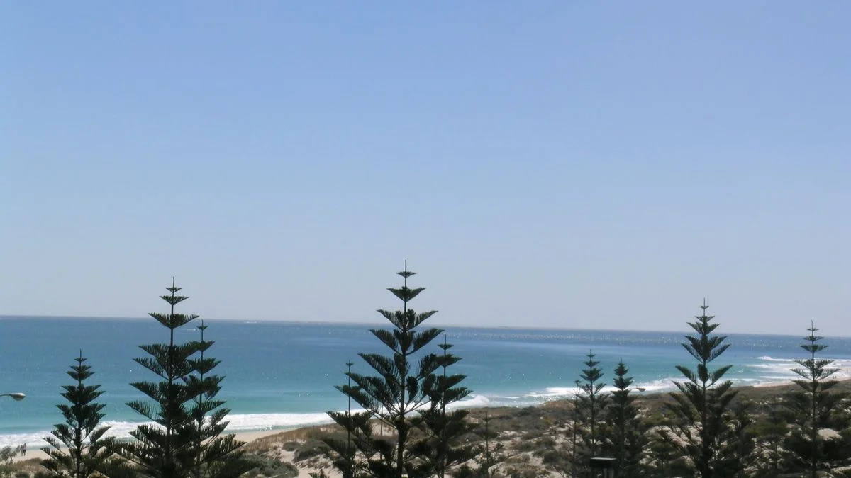 1/348 West Coast Highway, Scarborough WA 6019