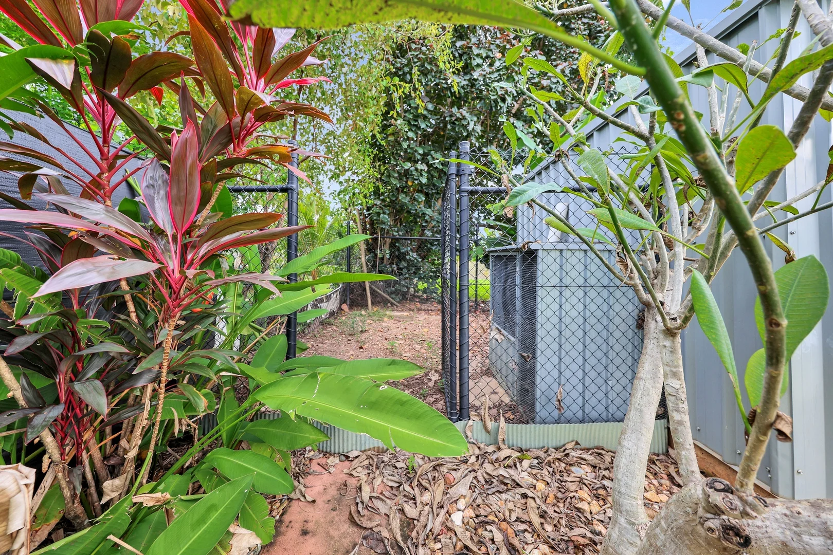 Additional image 25 of 6 Pitts Street, Zuccoli NT 0832