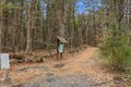 Additional image 39 of 44 Wood Ln, Acton, MA, 01720