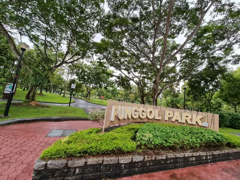 Additional image 7 of 419 Hougang Avenue 8