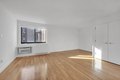 Additional image 5 of 101 W 15th St Apt 530, Manhattan, NY, 10011
