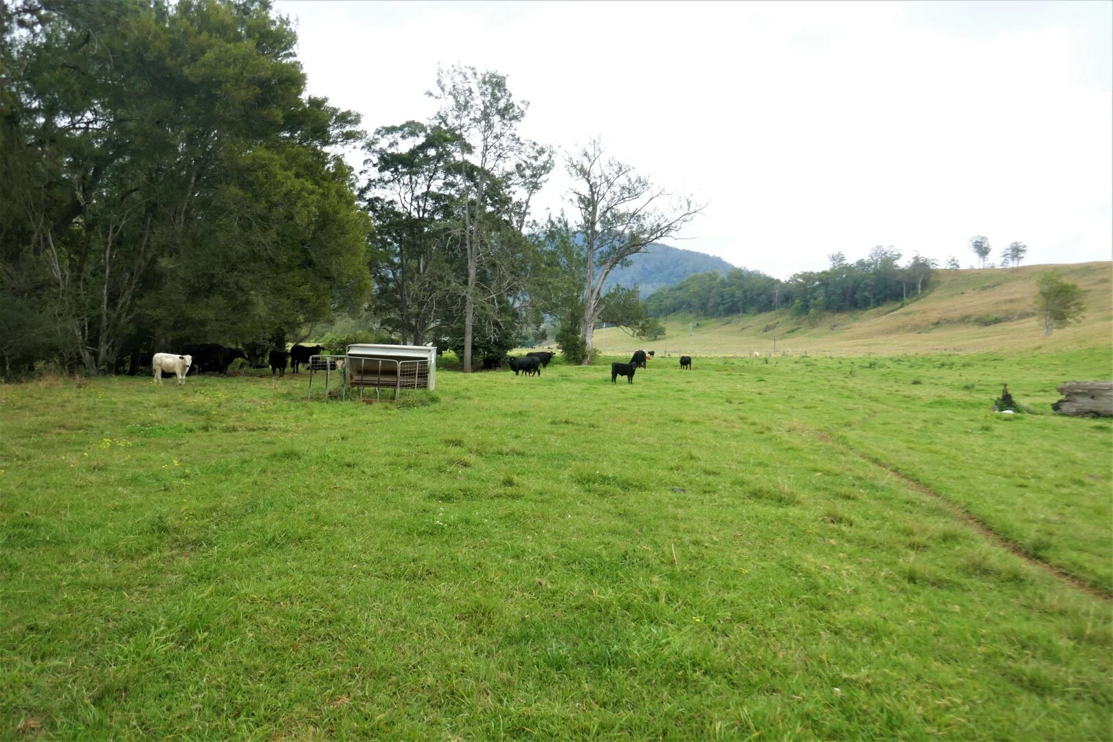 Additional image 21 of 35 Phelps Road, Kyogle NSW 2474