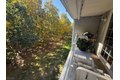Additional image 17 of 3606 Holman Ct, Bridgewater Twp, NJ, 08807