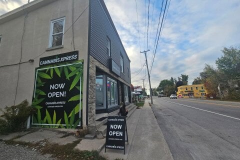 Additional image 7 of 4570 Penetanguishene Road, Springwater, ON, L0L 1V0