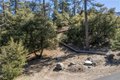 Additional image 3 of 1300 Banff Dr, Pine Mountain Club, CA, 93222