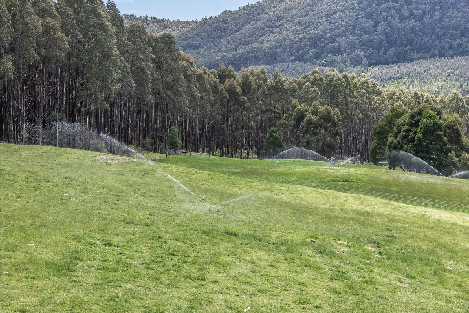 Additional image 11 of 98 Settlement Road, Flowery Gully TAS 7270