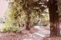 Additional image 44 of 1395 22nd St, San Francisco, CA, 94107