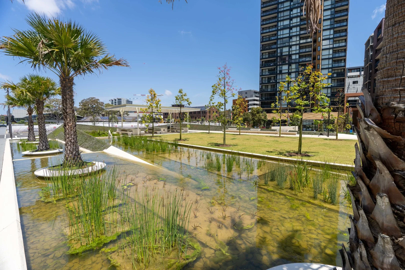 Additional image 18 of 605/18 Ebsworth Street, Zetland NSW 2017