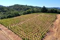 Additional image 57 of 25845 Dutcher Creek Rd, Cloverdale, CA, 95425