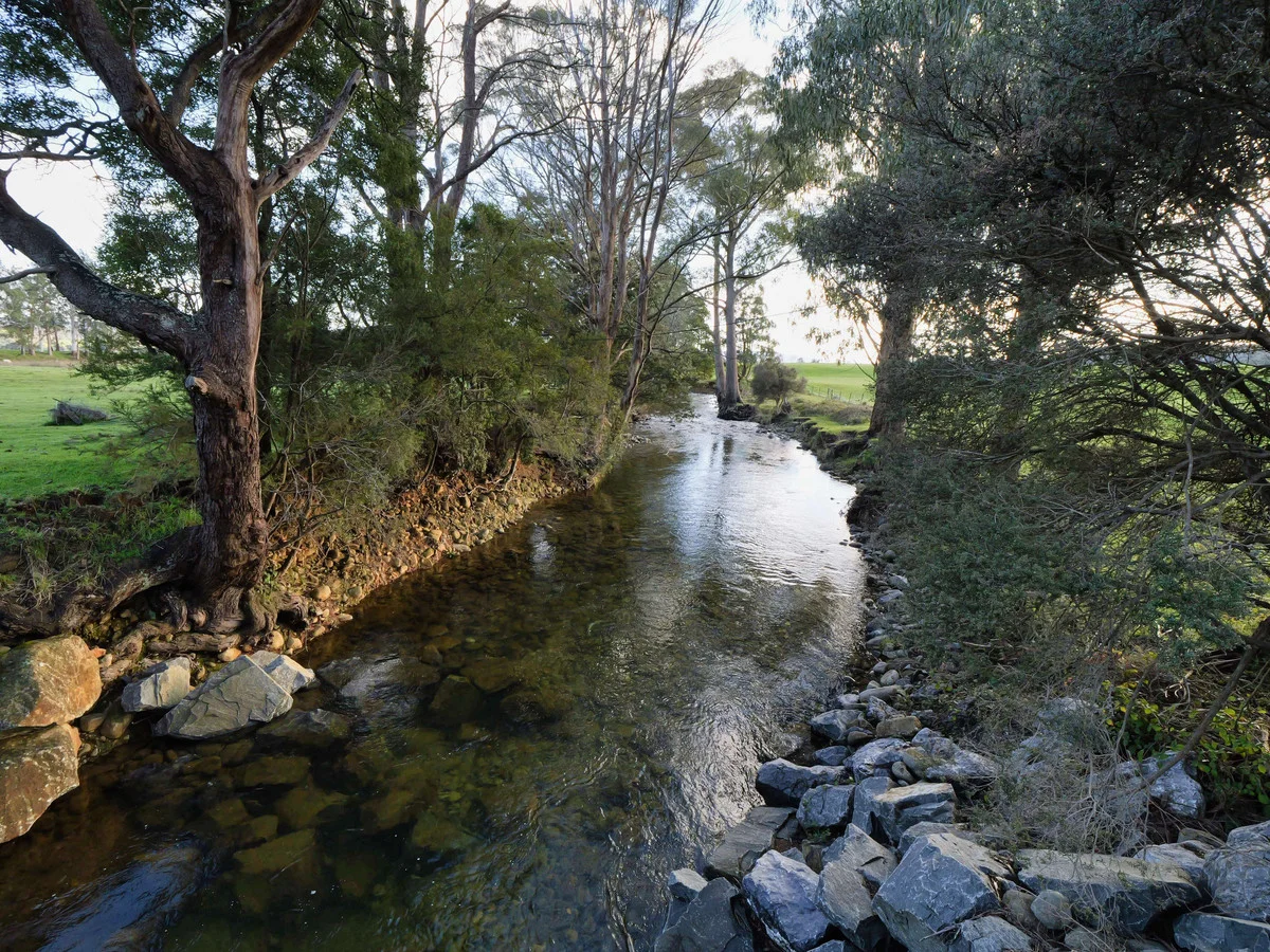 Additional image 9 of 1037 & 1044 Dairy Plains Road, Western Creek TAS 7304