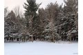 Additional image 42 of 32108 County Route 143, Black River, NY, 13612