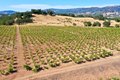Additional image 61 of 25845 Dutcher Creek Rd, Cloverdale, CA, 95425