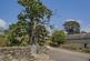 Additional image 30 of Darley, Liskeard