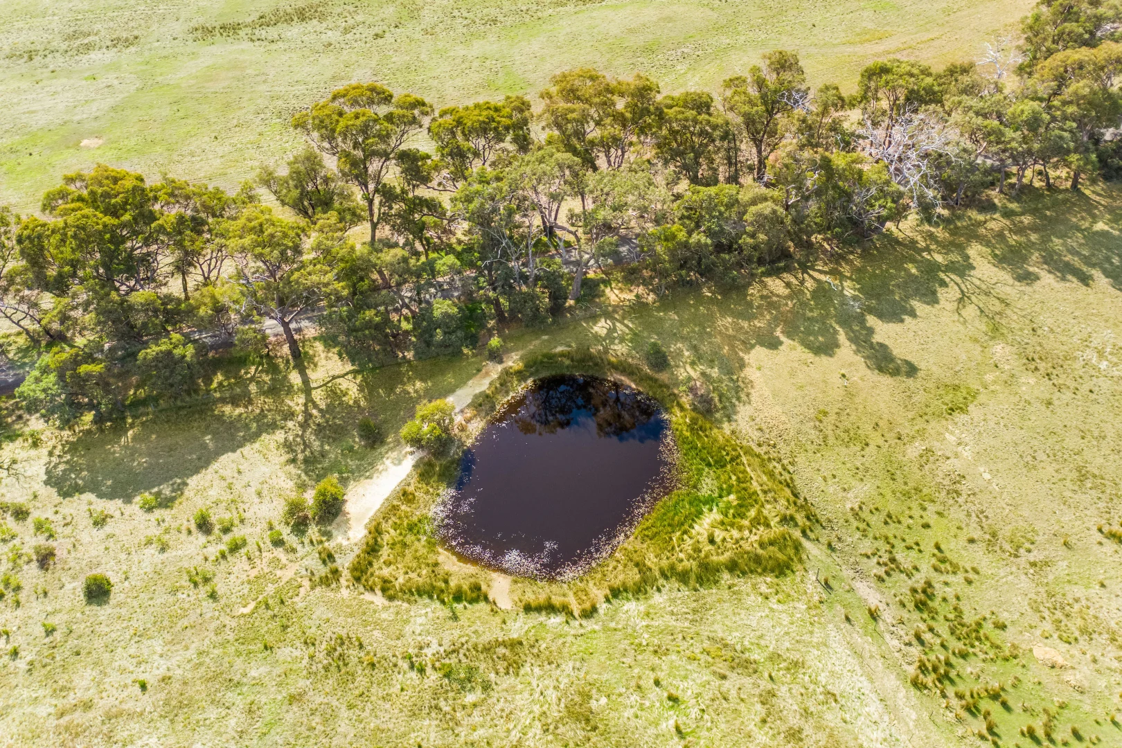 Additional image 9 of Lot 2, 211 Drummonds Lane, Derrinal VIC 3523